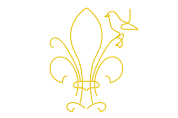 Logo Tomeguin'fi